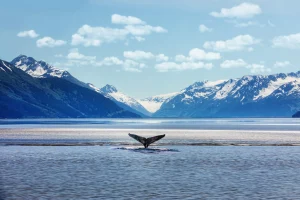 Alaska